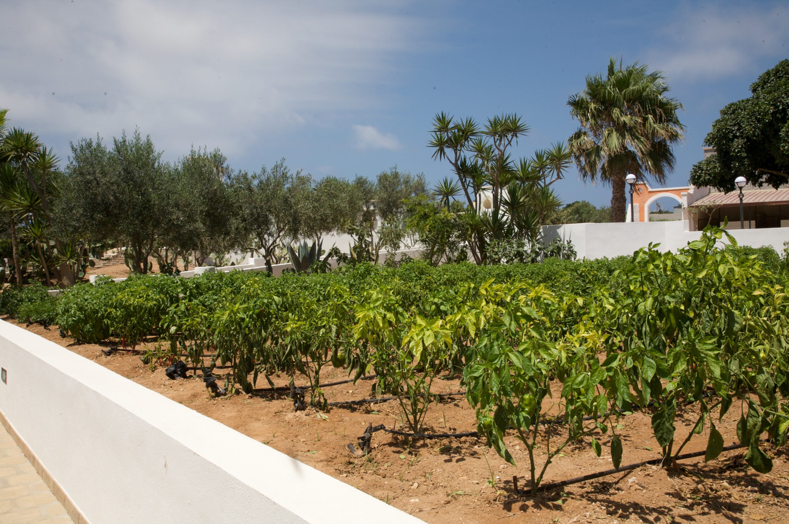agriturismo lampedusa