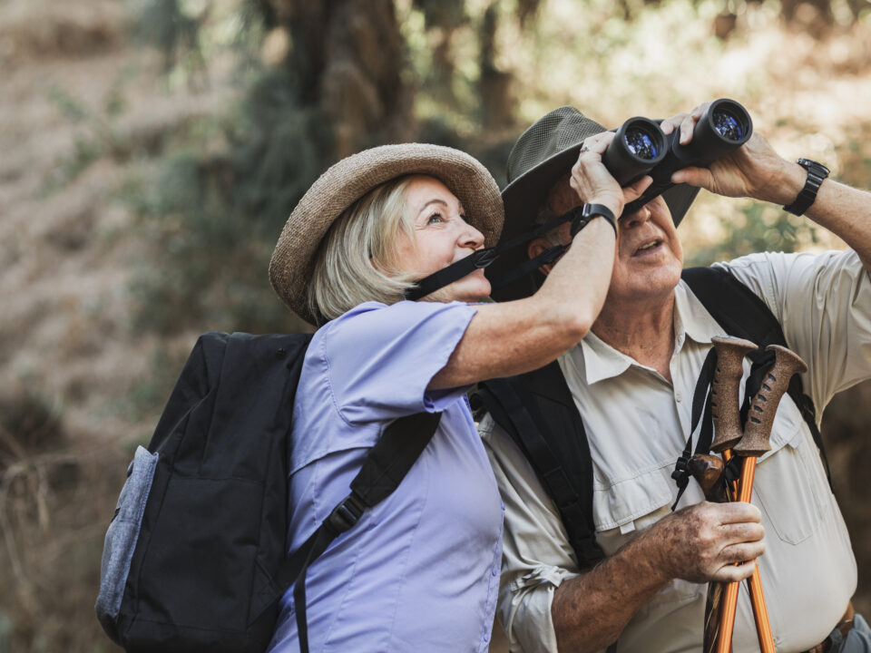 Birdwatching a Lampedusa