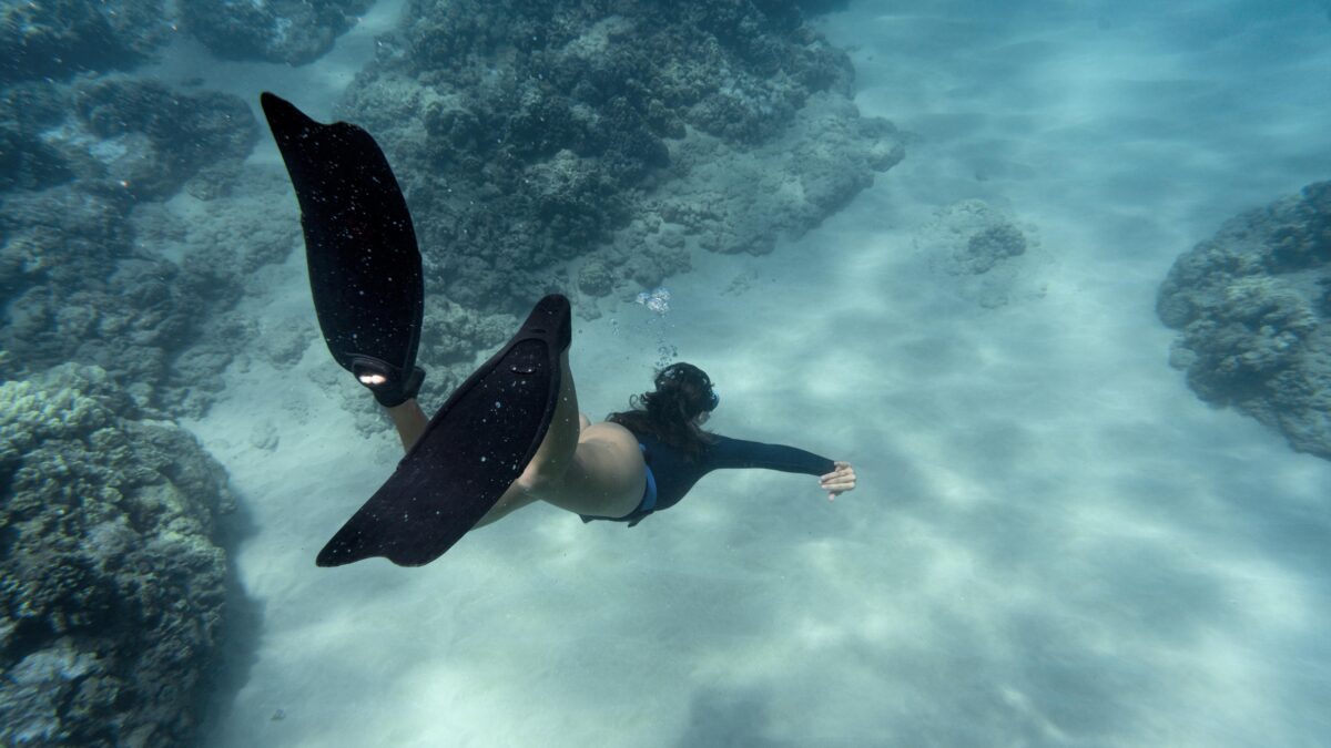 Immersioni Lampedusa