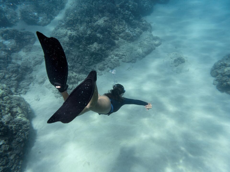 Immersioni Lampedusa