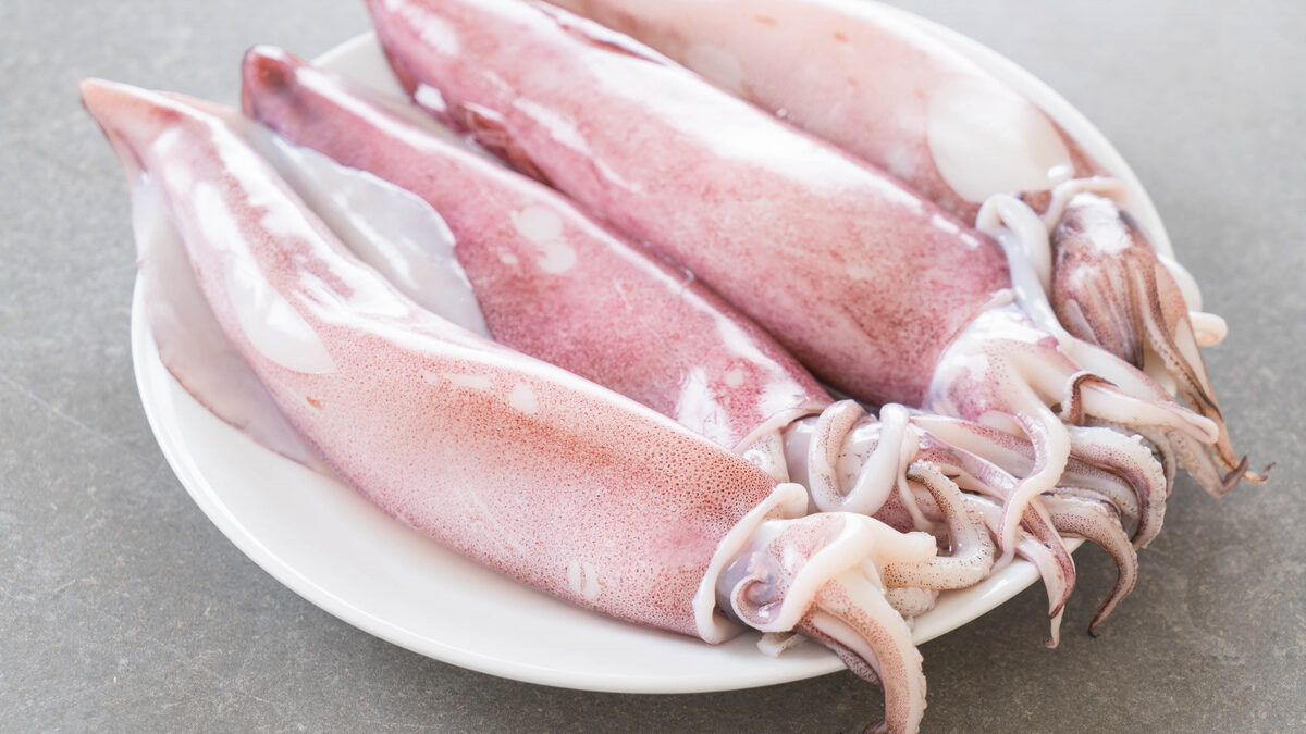Calamari ripieni