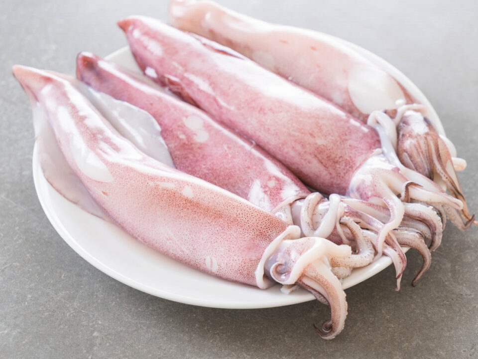 Calamari ripieni