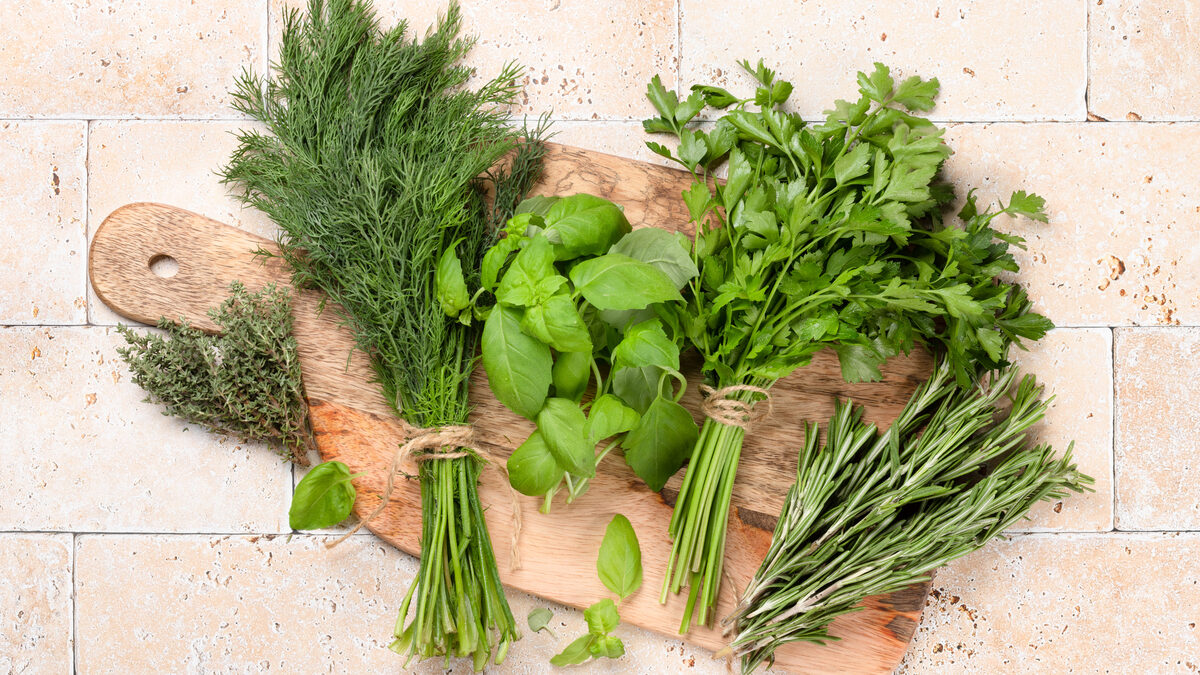 erbe aromatiche