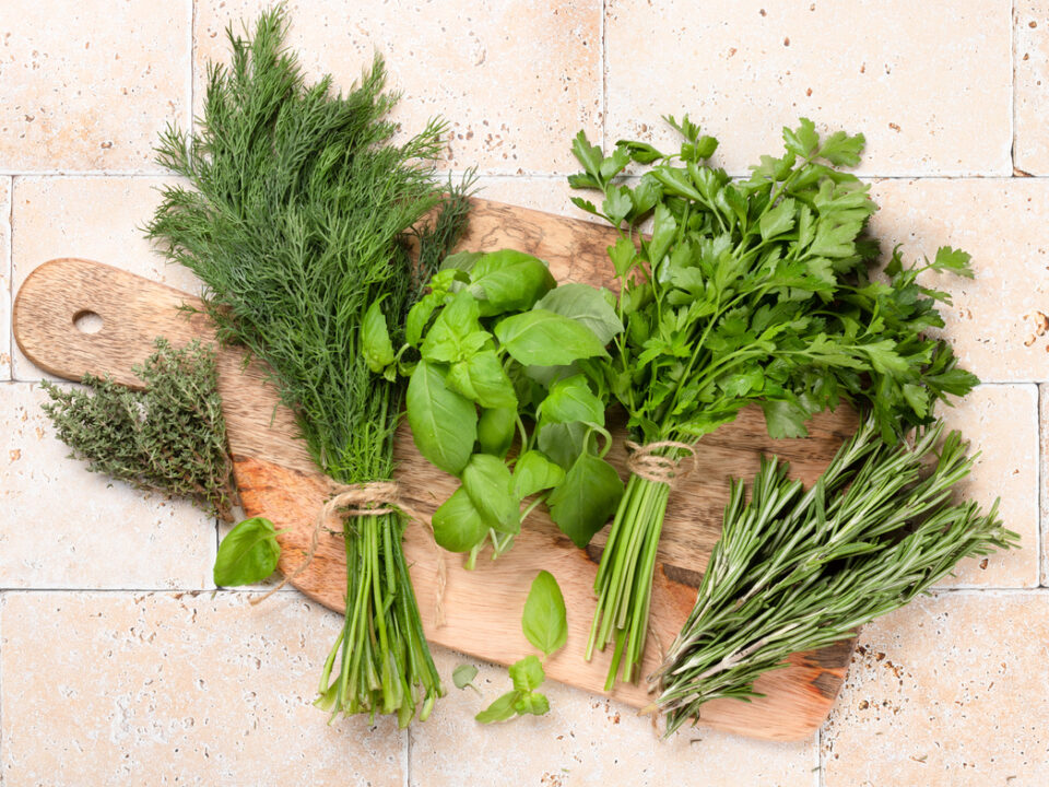 erbe aromatiche