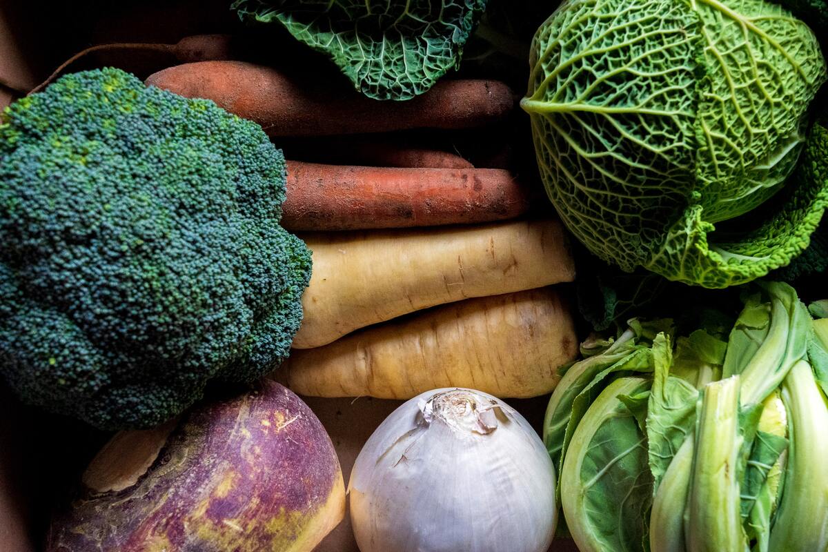 frutta e verdura invernale