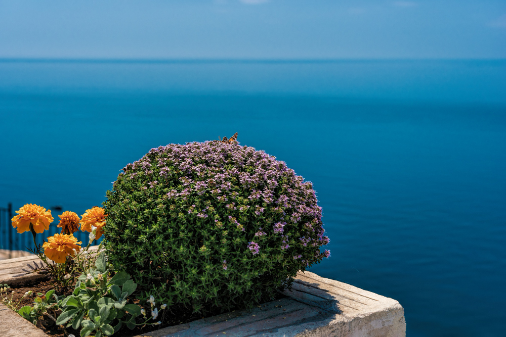 Last minute Lampedusa