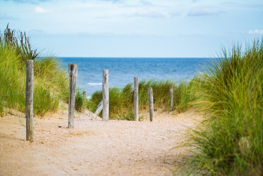 Linosa spiagge