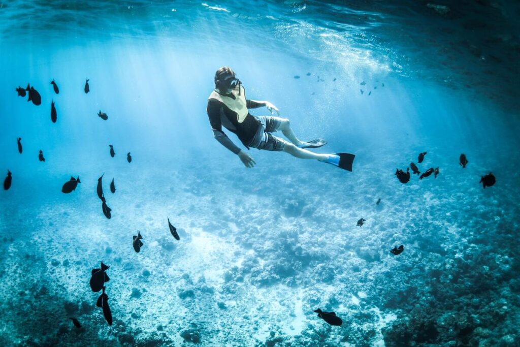Vegetazione acquatica